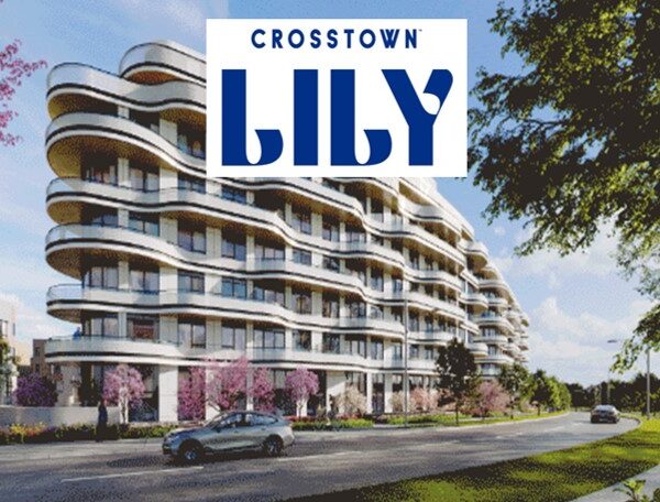 Crosstown Lily