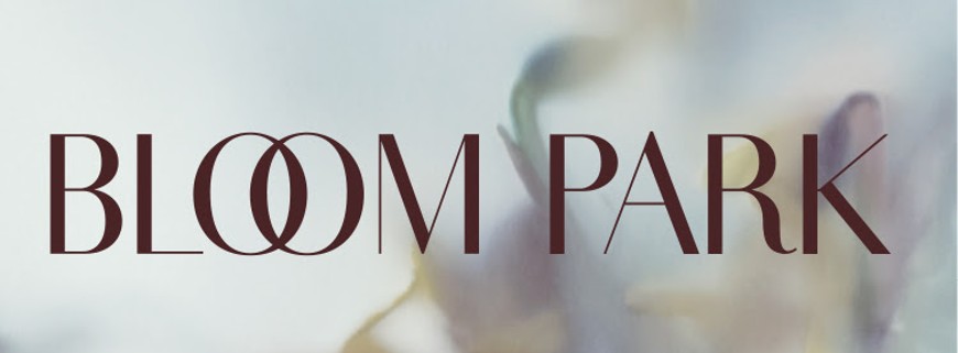 Bloom Park townhomes New Seaton