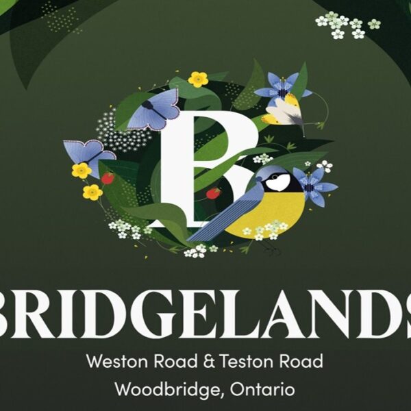 Bridgelands Homes In Woodbridge