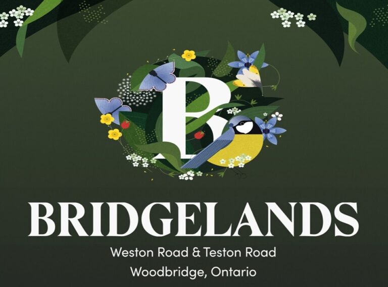 Bridgelands Homes In Woodbridge