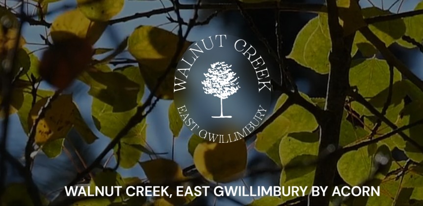 Walnut Creek Townhomes East Gwillimbury.