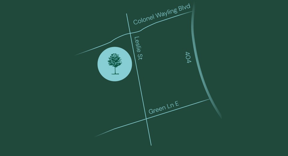 Walnut Creek Townhomes